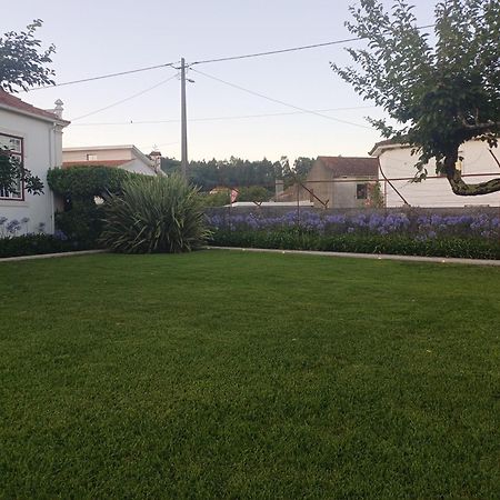 Vila Delfina Lousã Eksteriør billede