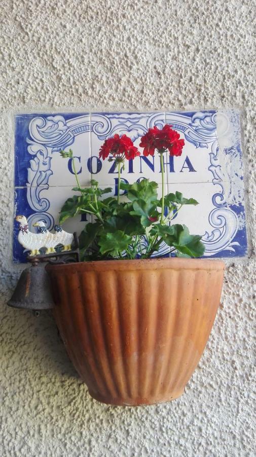 Vila Delfina Lousã Eksteriør billede